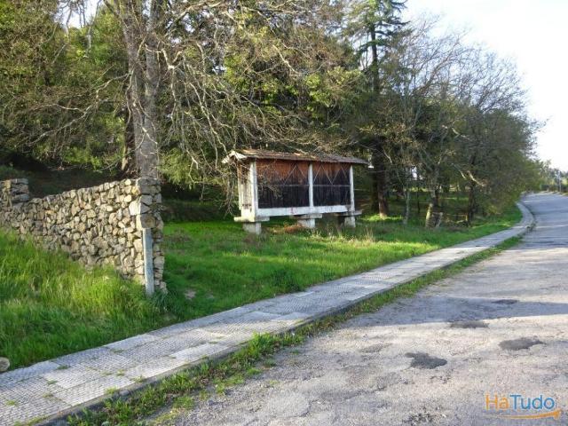 Terreno venda em Oliveira De Frades, Viseu