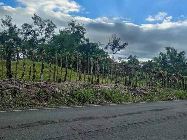 Lote Plano De 1,000 M² En Venta En Boquerón, Chiriquí