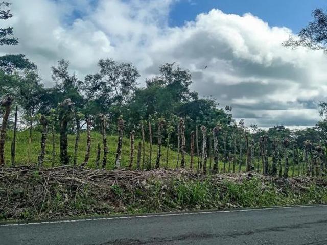 Lote Plano De 1,000 M² En Venta En Boquerón, Chiriquí
