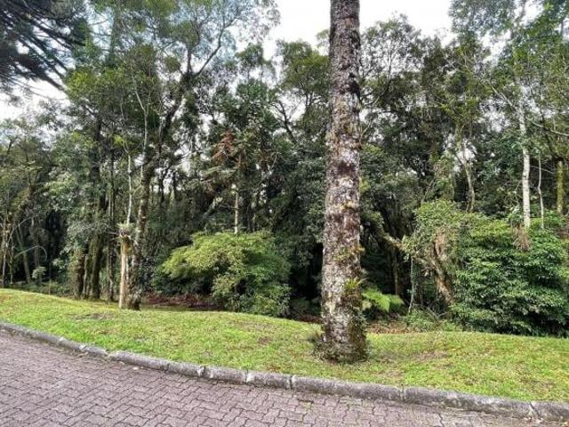 Terreno venda em Região Geográfica Imediata de Caxias do Sul, Canela