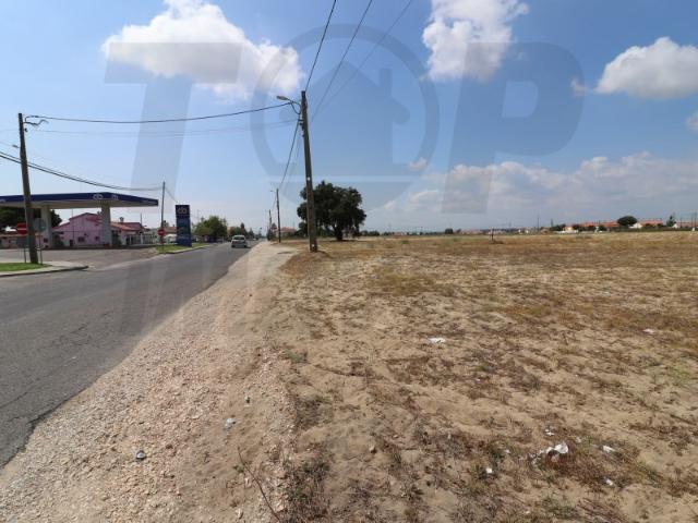 Terreno venda em Salvaterra De Magos, Santarém