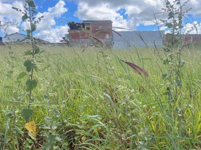 Terreno venda em Região Geográfica Imediata de Anápolis, Região Integrada de Desenvolvimento do Distrito Federal e Entorno