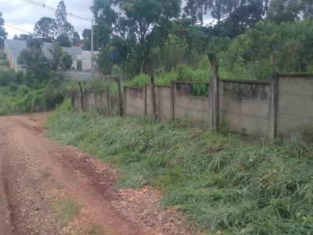 Sítio e chácara venda em Região Geográfica Imediata de Ponta Grossa, Ponta Grossa