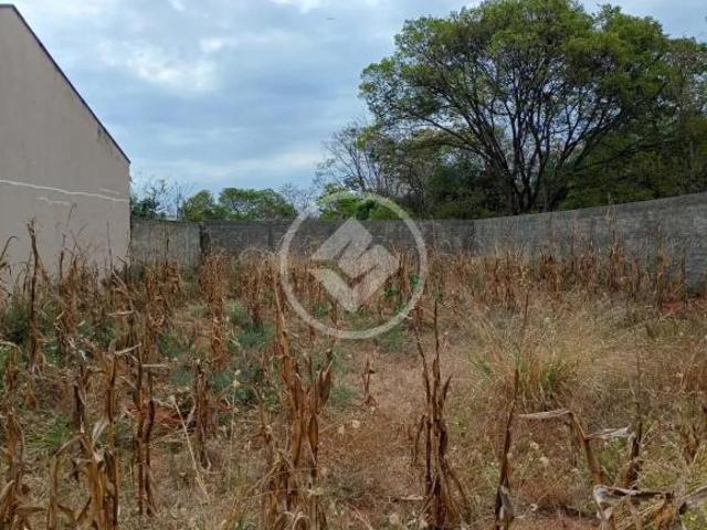 Terreno venda em Região Geográfica Imediata de Goiânia, Aparecida de Goiânia