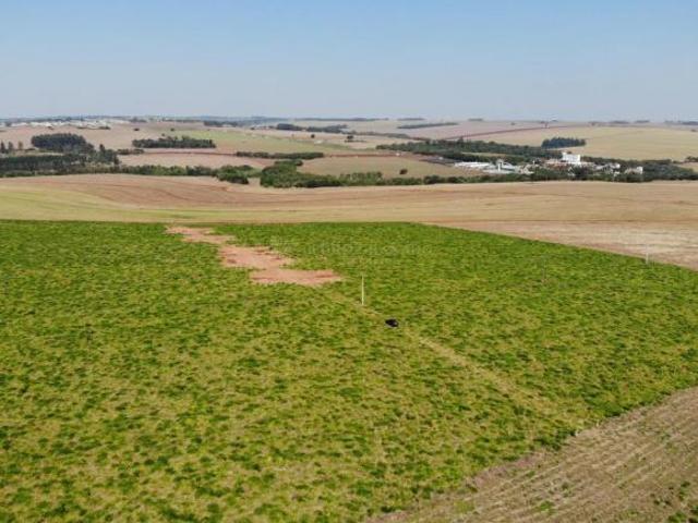 Sítio e chácara venda em Região Geográfica Imediata de Maringá, Iguaraçu