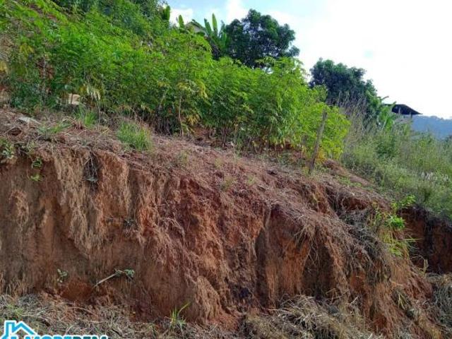 Sítio e chácara venda em Região Geográfica Imediata de Ipatinga, Região Metropolitana do Vale do Aço