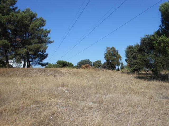 Terreno venda em Bairro Ferroviário, Barreiro