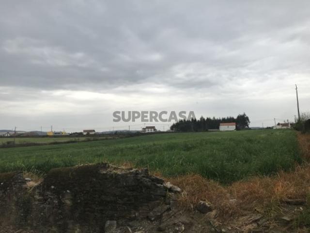 Terreno venda em Barcelos