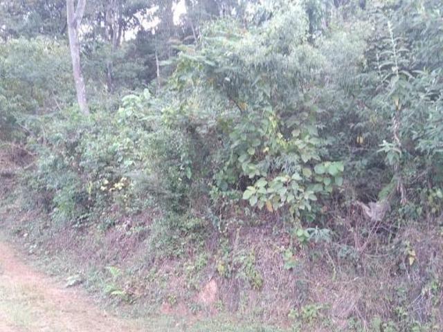 Terreno venda em Região Geográfica Imediata de Santa Bárbara - Ouro Preto, Barão de Cocais
