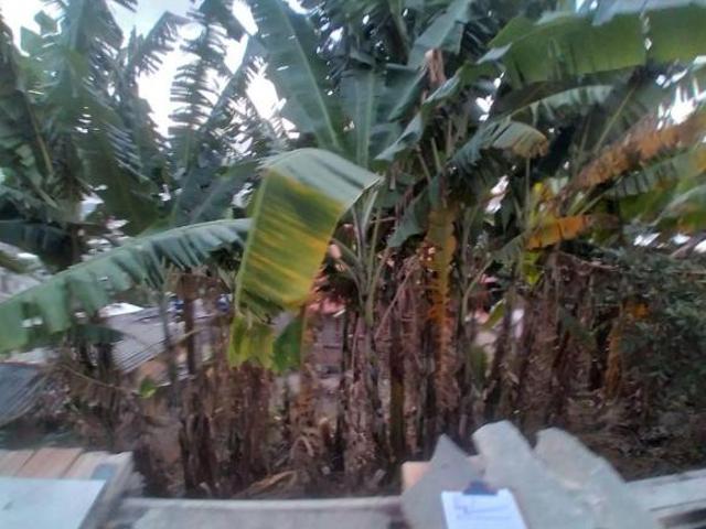 Terreno venda em Santo André, Belo Horizonte