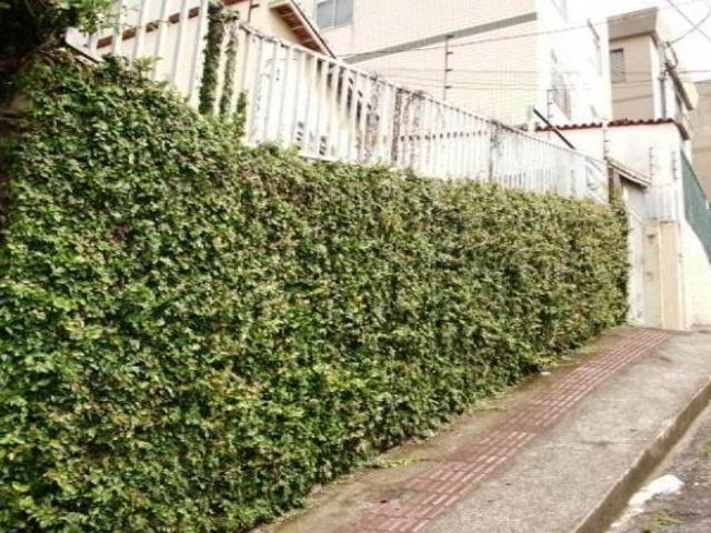 Terreno venda em Região Geográfica Imediata de Belo Horizonte, Região Metropolitana de Belo Horizonte