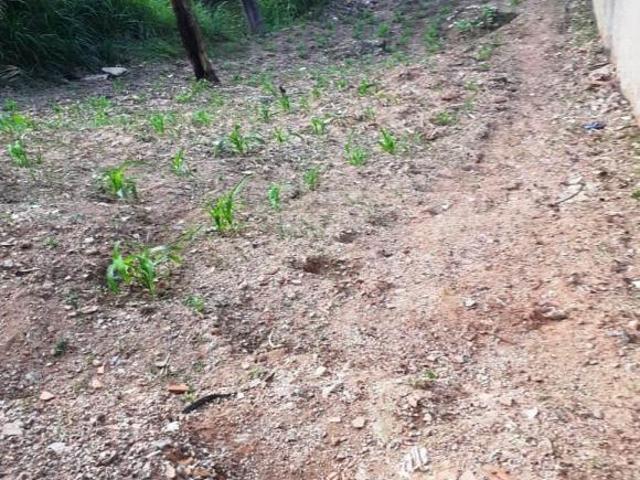 Terreno venda em Região Geográfica Imediata de Belo Horizonte, Região Metropolitana de Belo Horizonte