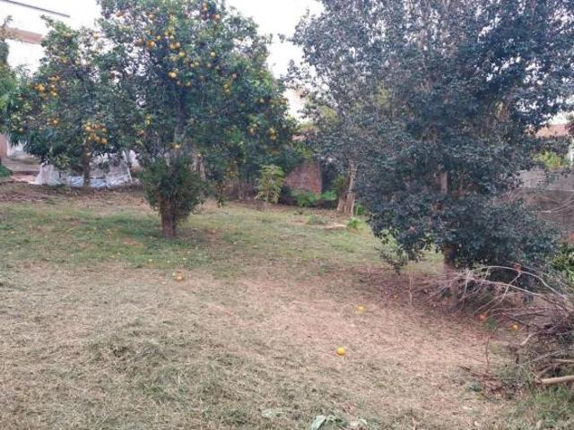 Terreno venda em Borda da Mata, Região Geográfica Intermediária de Pouso Alegre
