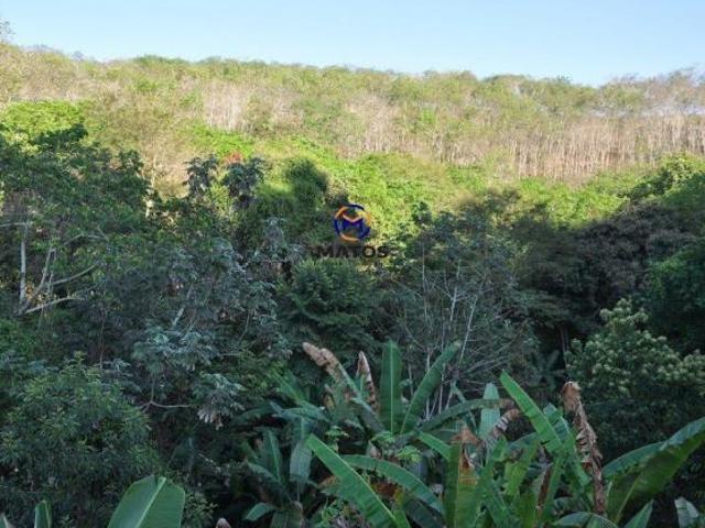 Terreno venda em Região Geográfica Imediata de Cataguases, Cataguases
