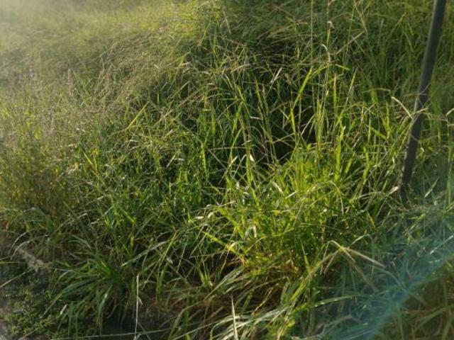 Terreno venda em Região Geográfica Imediata de Divinópolis, Cláudio