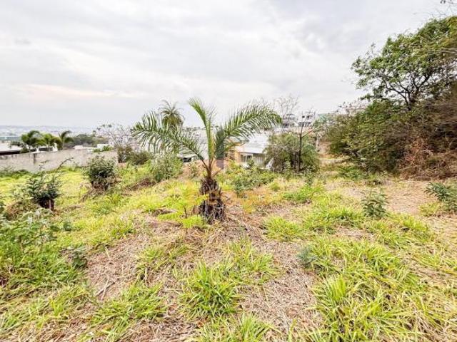 Terreno venda em Região Geográfica Imediata de Belo Horizonte, Região Metropolitana de Belo Horizonte