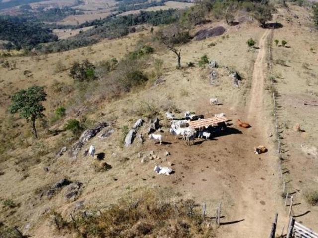 Terreno venda em Ribeiro Cardoso, Entre Rios de Minas