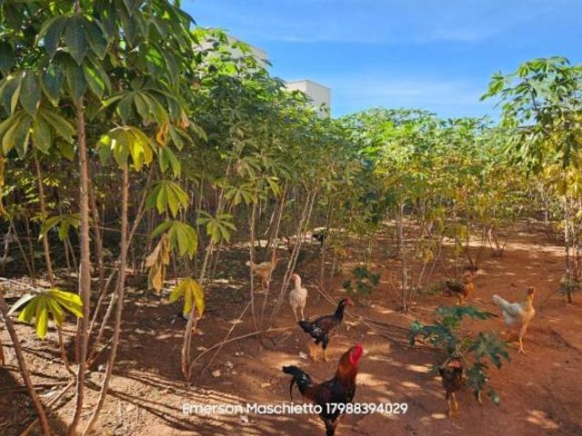 Terreno venda em Região Imediata de Fernandópolis, Fernandópolis
