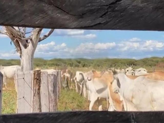 Terreno venda em Gameleiras, Região Sudeste