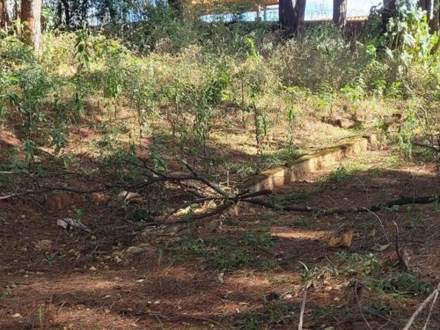 Terreno venda em Região Geográfica Imediata de Belo Horizonte, Região Metropolitana de Belo Horizonte