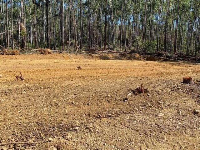 Terreno venda em Região Geográfica Imediata de Belo Horizonte, Região Metropolitana de Belo Horizonte
