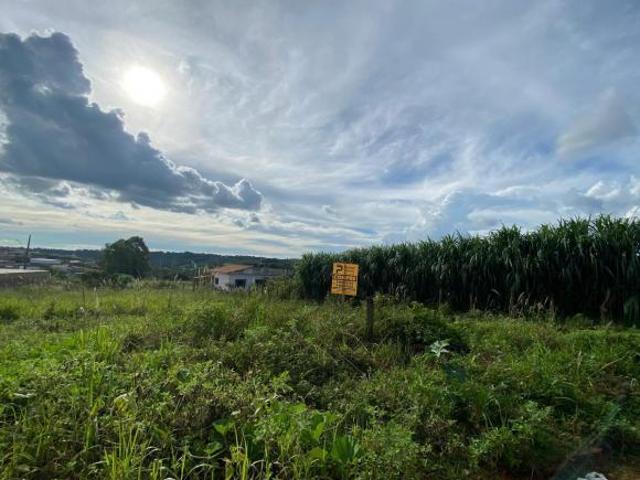 Terreno venda em Região Geográfica Imediata de Lavras, Nepomuceno