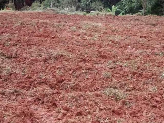Terreno venda em Região Geográfica Imediata de Lavras, Nepomuceno