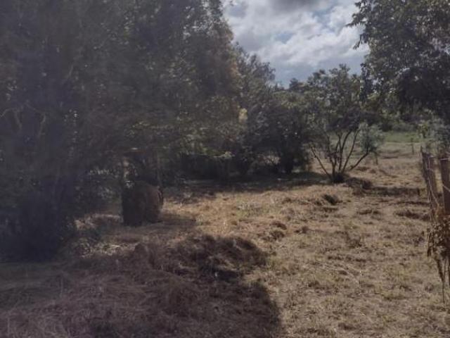 Terreno venda em Região Geográfica Imediata de Santa Bárbara - Ouro Preto, Ouro Preto