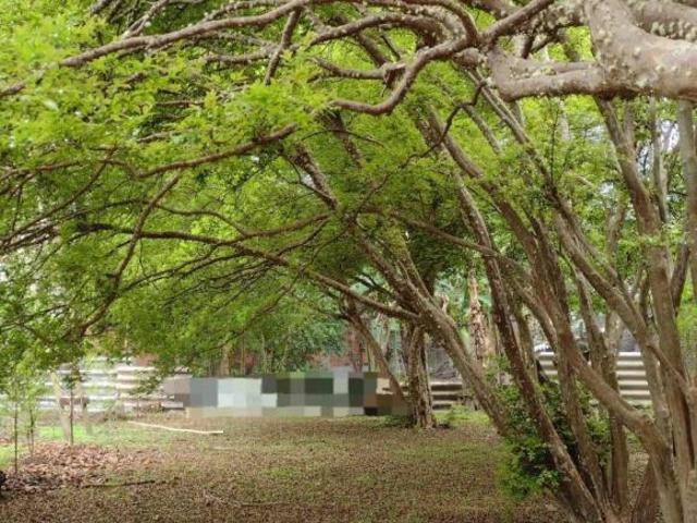 Terreno venda em Região Geográfica Imediata de Belo Horizonte, Região Metropolitana de Belo Horizonte