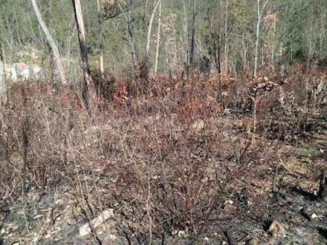Terreno venda em Região Geográfica Imediata de Belo Horizonte, Região Metropolitana de Belo Horizonte