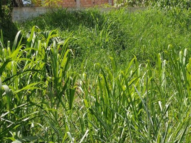 Terreno venda em Região Geográfica Imediata de Belo Horizonte, Região Metropolitana de Belo Horizonte