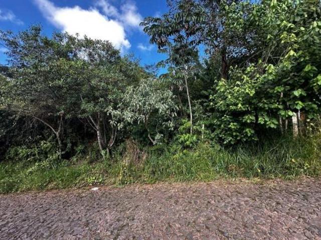 Terreno venda em Região Geográfica Imediata de Belo Horizonte, Região Metropolitana de Belo Horizonte