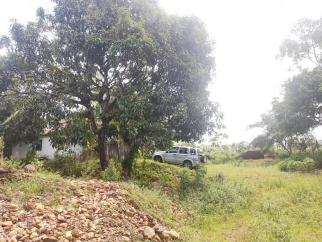 Terreno venda em Regional Leste, Belo Horizonte