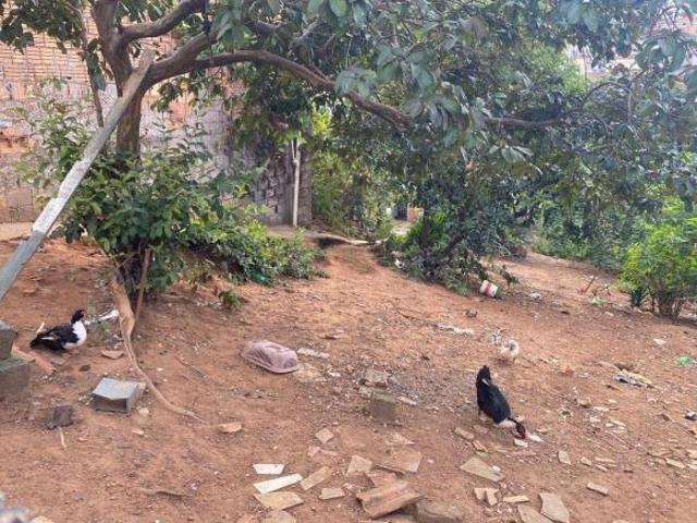 Terreno venda em Região Geográfica Imediata de Varginha, Varginha