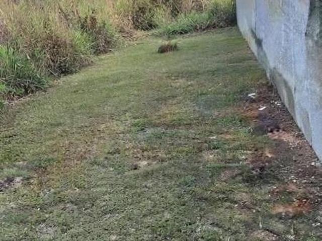 Terreno venda em Santa Maria, Vespasiano