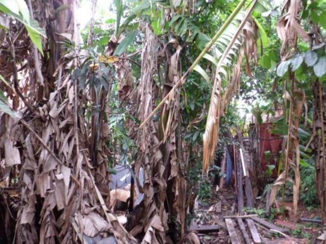 Terreno venda em Região Geográfica Imediata de Belo Horizonte, Região Metropolitana de Belo Horizonte