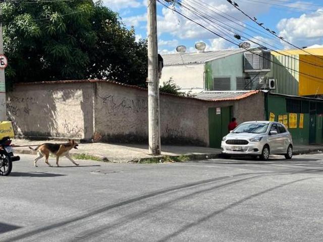 Terreno venda em Região Geográfica Imediata de Belo Horizonte, Região Metropolitana de Belo Horizonte