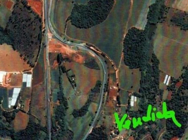 Terreno venda em Estiva