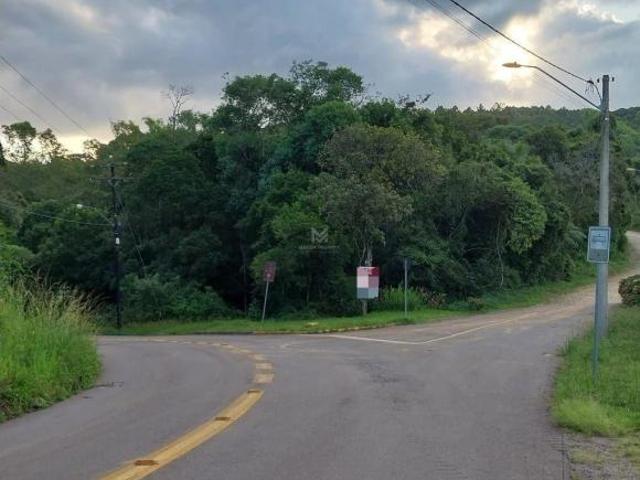 Terreno venda em Região Geográfica Imediata de Caxias do Sul, Caxias do Sul