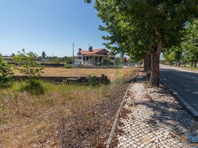 Terreno venda em Mira, Coimbra