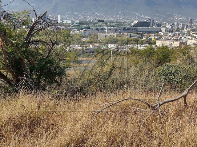 Terreno en renta en San Pedro Garza García, Nuevo León