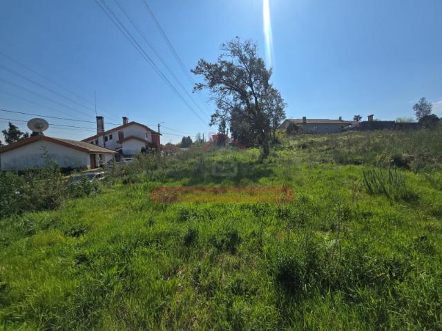 Terreno venda em Quinta do Morangal, Águeda