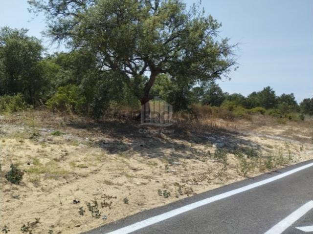 Terreno venda em Quinta do Anjo, Palmela