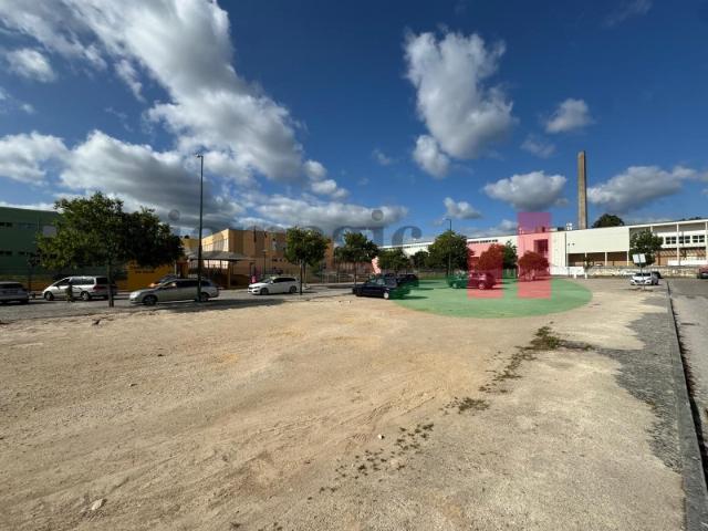 Terreno venda em Rio Maior, Santarém