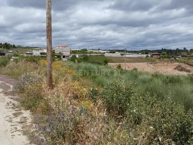 Terreno venda em Castelo Branco