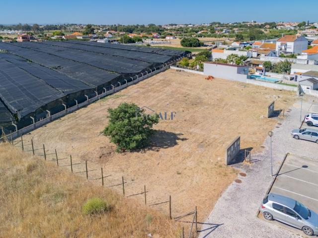 Terreno venda em Broega, Montijo