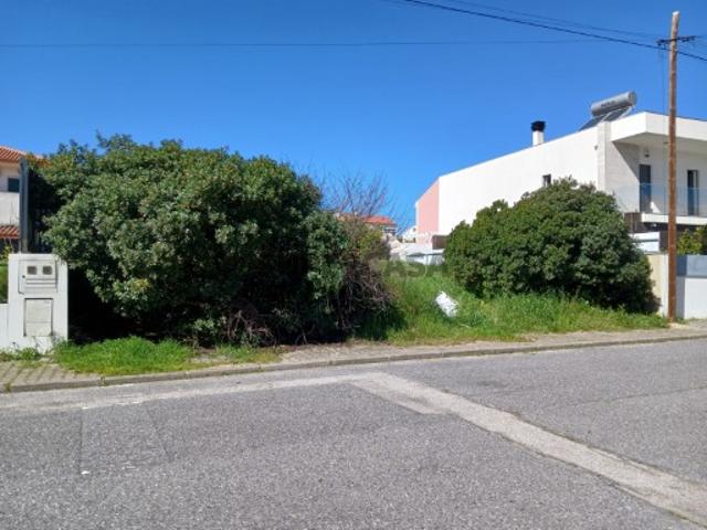 Terreno venda em Castelo Branco