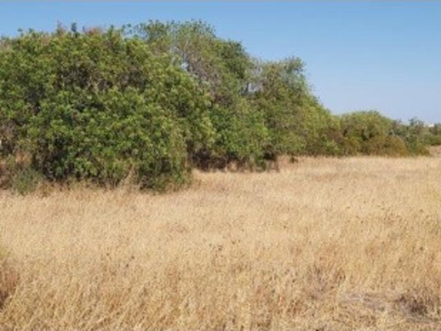 Terreno venda em Albufeira, Faro