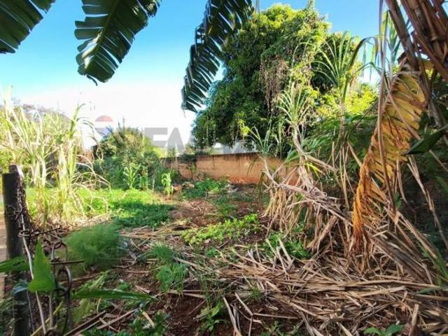 Terreno venda em Região Imediata de Campinas, Região Metropolitana de Campinas