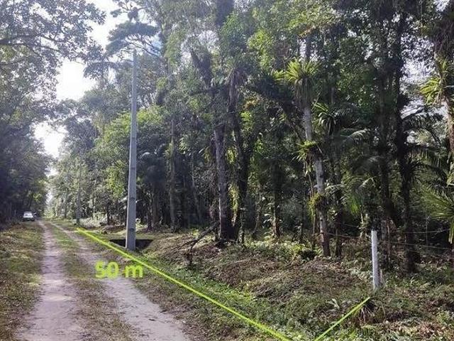Terreno venda em Região Geográfica Imediata de Paranaguá, Paranaguá